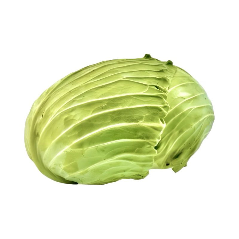 Kapusta biela PLOCHÁ
