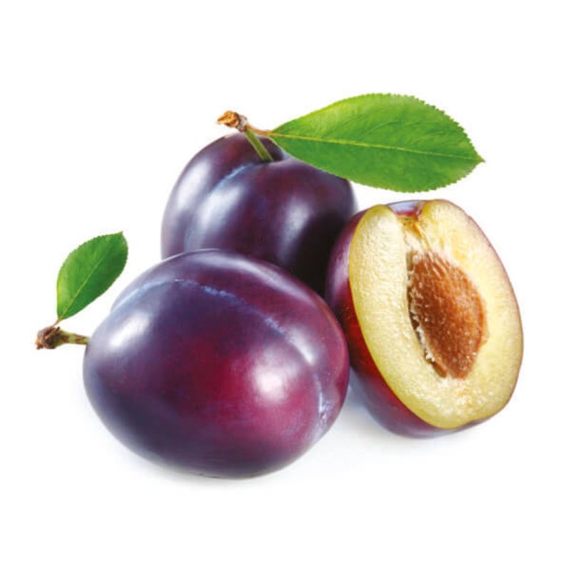Slivky modré ringloty