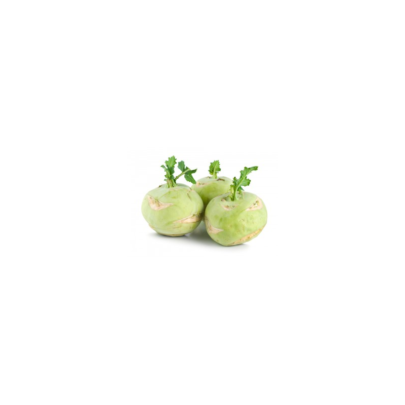 Kaleráb gigant / Kg