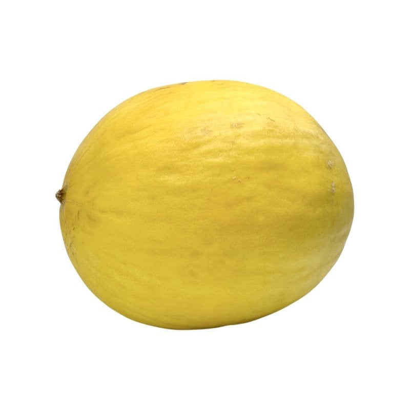 Melón žltý Honey Dew I.tieda