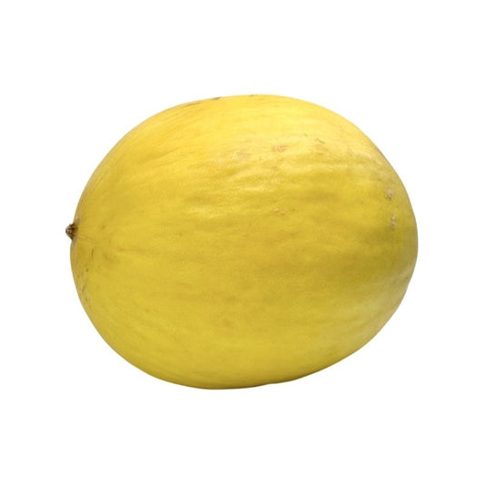 Melón žltý Honey Dew I.tieda