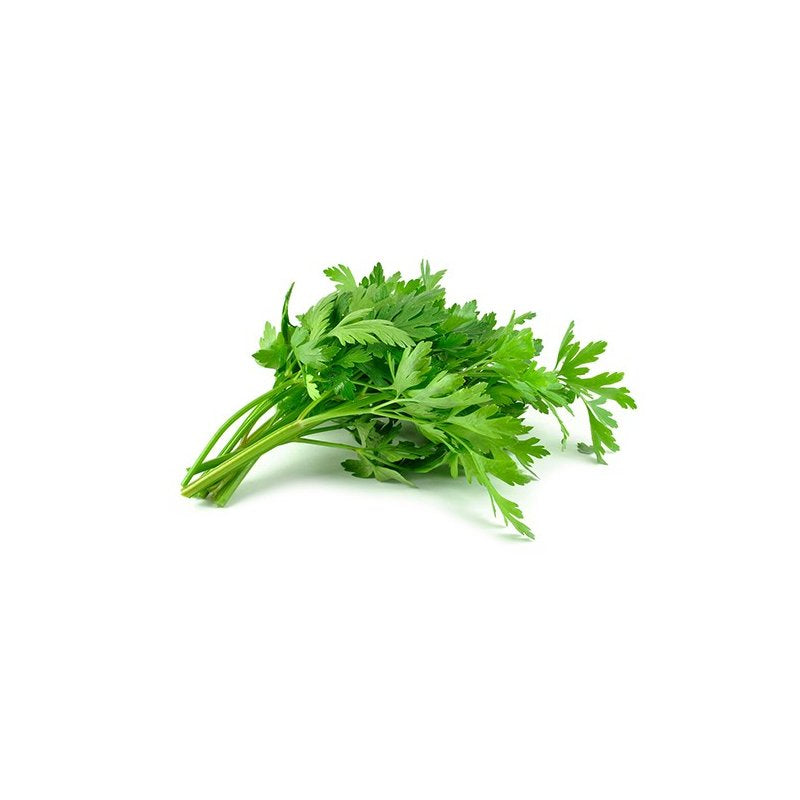 Petržlenová vňať hladká /Kg